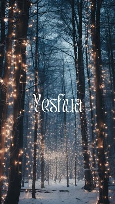 the word yesha surrounded by lights in a snowy forest with trees and snow covered ground