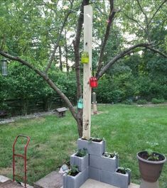 a tree that is in the middle of a yard with potted plants on it