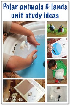 polar animals and lands unit study ideas for kids to use in the winter or fall