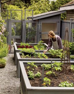 a woman tending to plants in a garden