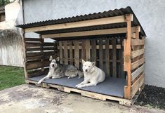 two dogs are sitting in a dog house made out of pallets