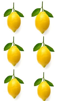 four lemons with green leaves on them are shown in five different positions, each showing the same amount of ripeness