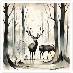 two deer standing in the middle of a forest next to tall trees and birds flying overhead