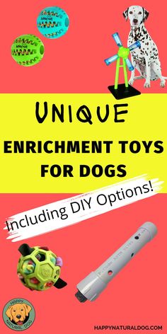 an image of toys for dogs with the title unique enrichment toys for dogs including diy options