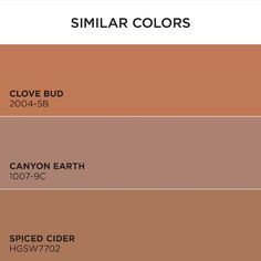 some shades of brown and beige with the words similar colors in each color scheme on them