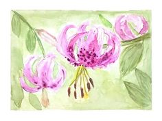 watercolor painting of pink flowers with green leaves