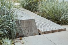 a wooden bench sitting in the middle of a garden next to tall grass and plants