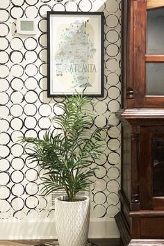 a potted plant sitting in front of a wall with a black and white pattern on it