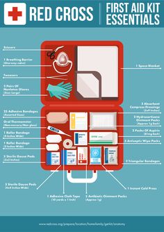 Be Prepared – First Aid Kit Checklist – Whole Heartily First Aid Kit Checklist, First Aid Kit Contents, Survival Skills Emergency Preparedness, First Aid Tips, Basic First Aid, Emergency Prepardness, Emergency Survival Kit, Emergency Preparedness Kit, Emergency Bag