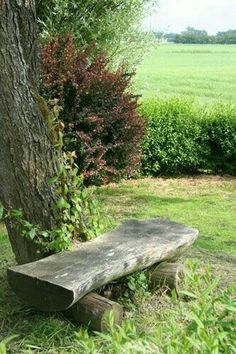 a wooden bench sitting next to a tree in the grass near a field and bushes