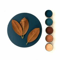 a plate with three leaves on it next to some paint bowls and one leaf is in the middle