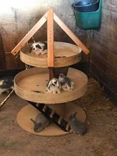 three baby animals are sitting in a small cage on top of a wooden stand that is attached to the wall