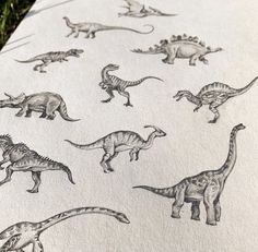 an image of dinosaurs printed on paper