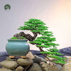 a bonsai tree in a green pot on rocks