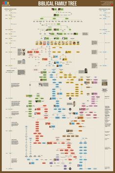 a large family tree with many different things on the top and bottom half of it