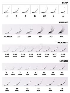 Lash Extension Curl Chart, Types Of Eyelash Extensions, Table Vector, Eyelash Extensions Classic, Eyelash Extension Course, Lash Extension Training, Eyelash Extension Training, Lashes Tutorial, Lash Quotes