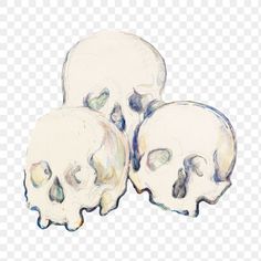 three skulls sitting next to each other on top of a white background, with one skull in the middle