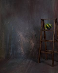 a wooden ladder with a potted plant sitting on it's side in front of a wall