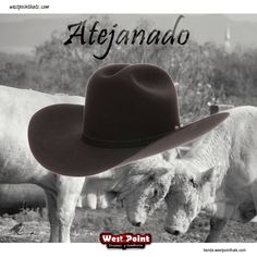 #westpointhats_usa 
It’s on u
#felthat #ranch #atejanada 
#6x to #1000x 
#westpointhats🤠 

Wapp 4761233084
tienda.westpointhats.com 
westpointhats.com