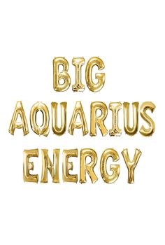 Aquarius Birthday Decorations Capricorn Birthday Photoshoot, Zodiac Birthday Party, Capricorn + Core + Aesthetic, 27 Birthday Ideas, Aquarius Energy, Barbie Room Decor, Capricorn Horoscope, Aquarius Birthday, Capricorn Birthday