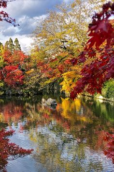 a river surrounded by trees with fall colors