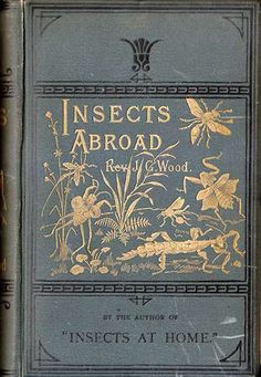 an old book with gold foil on it's cover and the title insects abroad