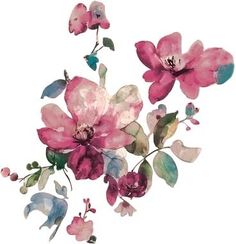 watercolor painting of pink flowers on white background