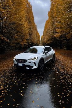 a white car parked on the side of a wet road