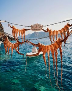 an octopus hanging from a boat in the ocean with chains attached to it's sides