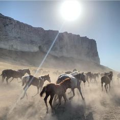 a herd of horses running across a dirt field