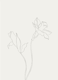 a line drawing of a flower on a white background