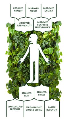 the benefits of herbs for health and well - being infographical poster on white background