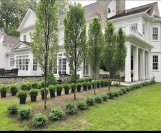 a large white house with many trees in the front yard