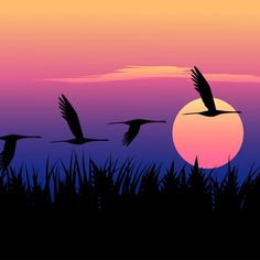 three birds flying in the sky at sunset or dawn with grass and plants silhouetted by the sun