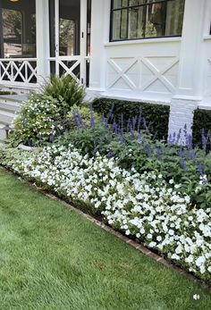 white and blue flowers in front of a house