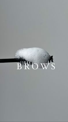 Brow Bar Aesthetic, Cejas Aesthetic, Brow Bar Ideas, Zen Studio, Eye Lash Photography, Esthetician Inspiration, Instagram Brows, Brow Studio, Esthetician Marketing