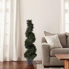 a living room with a couch, coffee table and potted plant