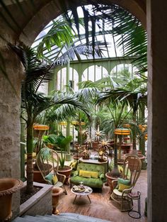 a room filled with lots of potted plants next to a wooden floor covered in green furniture