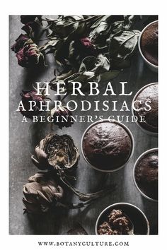 the cover of herbs and aphrodia's a beginner's guide