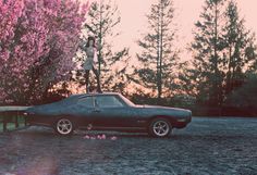 a woman standing on the hood of a car in front of pink flowers and trees