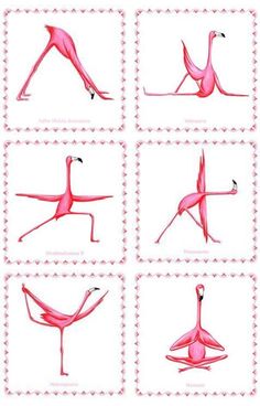 pink flamingos are shown in four different positions, each with their legs spread out