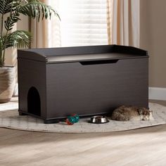 a cat laying on the floor next to a dog bowl and food dish in front of a window