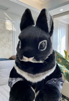 a black and white cat sitting on top of a bed