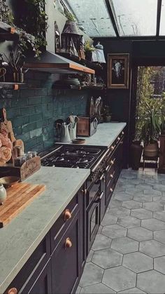 a kitchen with an oven, counter and potted plants on the shelves above it