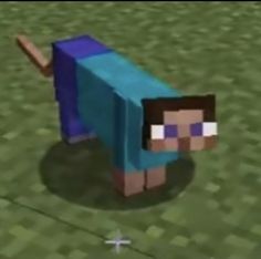 an image of a minecraft character walking in the grass