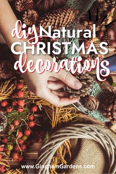 hands holding a christmas decoration with text overlay that reads diy natural christmas decorations