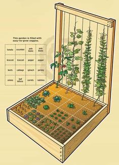 an open wooden box with plants growing in it and instructions on how to grow them