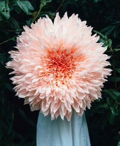 a pink flower is in the middle of a white vase with greenery behind it