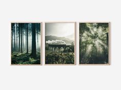 three framed photographs of mountains and trees with sunlight coming through the clouds, on white background