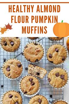 pumpkin muffins with chocolate chips on top and text overlay that reads healthy almond flour pumpkin muffins